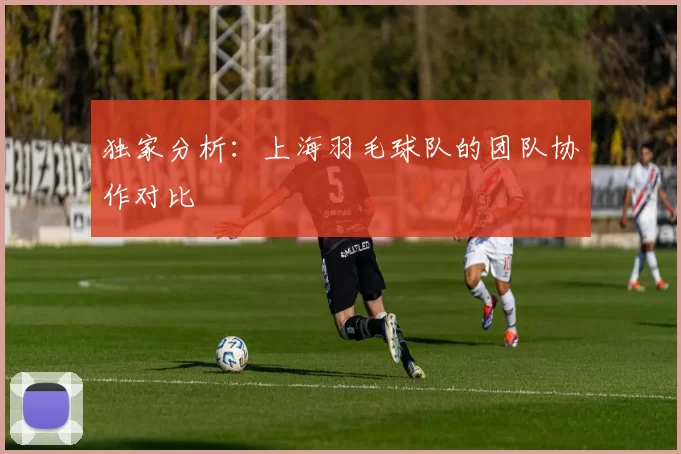 独家分析：上海羽毛球队的团队协作对比