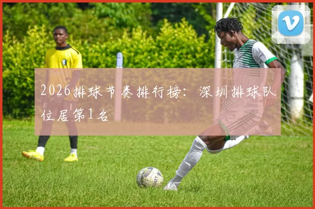 2026排球节奏排行榜：深圳排球队位居第1名