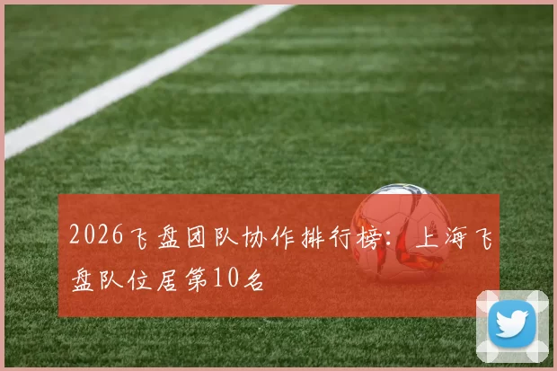 2026飞盘团队协作排行榜：上海飞盘队位居第10名