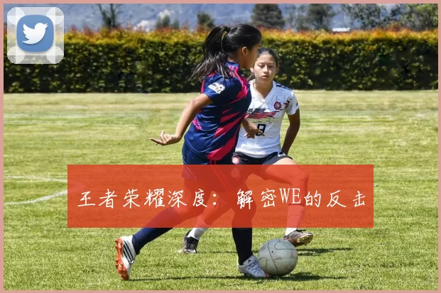 王者荣耀深度：解密WE的反击
