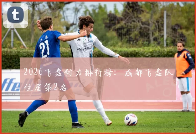 2026飞盘耐力排行榜：成都飞盘队位居第2名