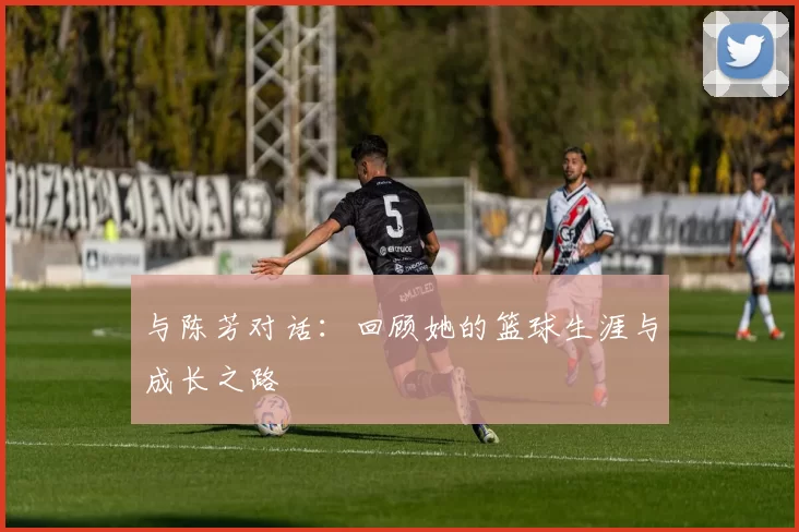 与陈芳对话：回顾她的篮球生涯与成长之路