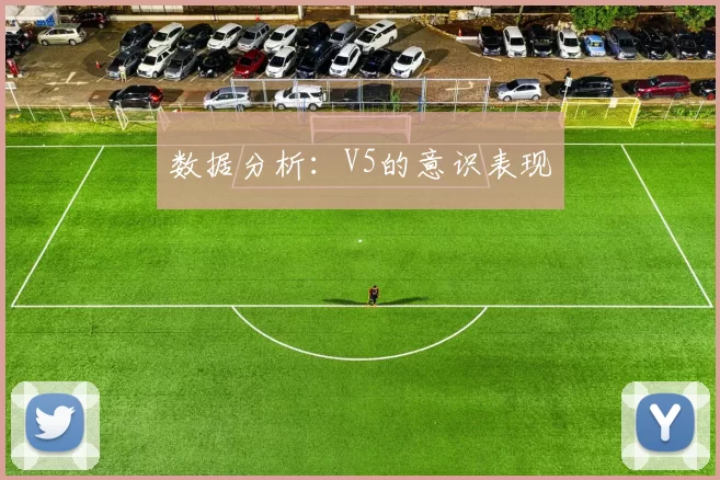 数据分析：V5的意识表现