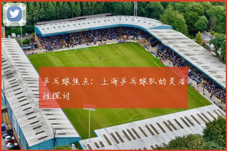 乒乓球焦点：上海乒乓球队的灵活性探讨