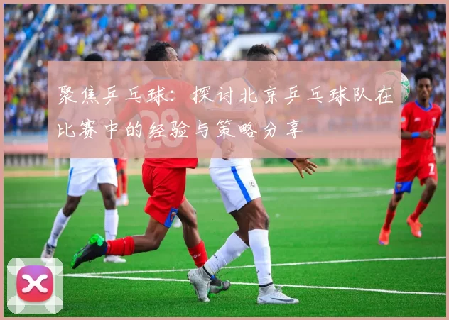 聚焦乒乓球：探讨北京乒乓球队在比赛中的经验与策略分享