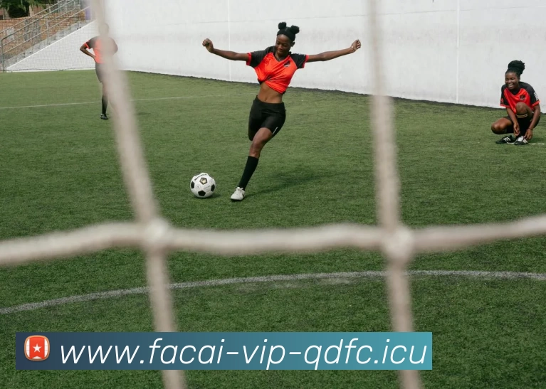 开云体育平台生态图